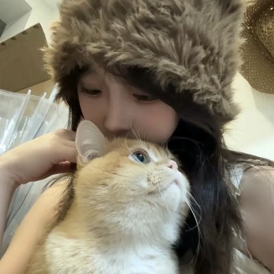 节日开始了